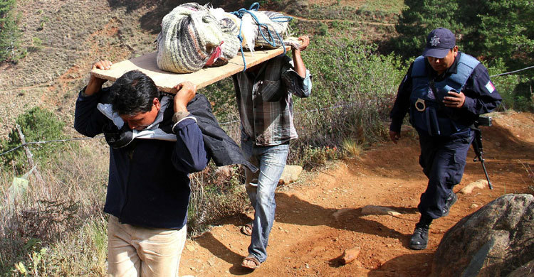 Gunmen in Mexico kill 11 in attack on family 