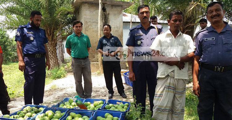 কেমিক্যাল দিয়ে আম পাকানোর দায়ে ব্যবসায়ীকে জরিমানা