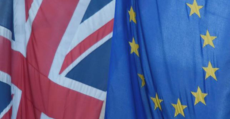 Computer-driven hedge funds win on Brexit night