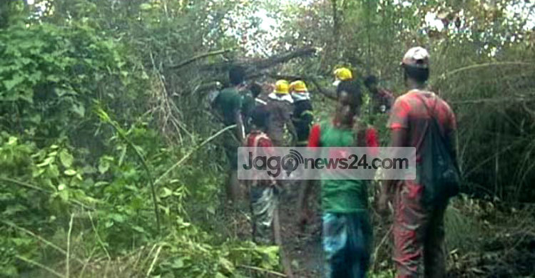 সুন্দরবনের আগুন দেয়ার ঘটনায় গ্রেফতার ২