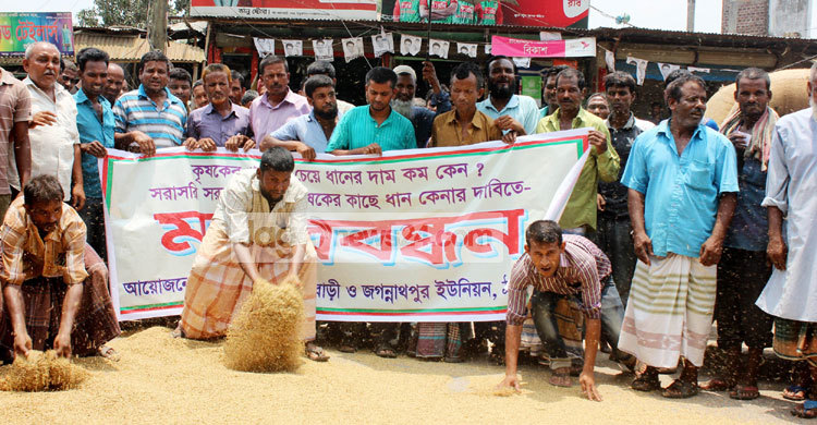 ধানের ন্যায্য মূল্য নির্ধারণের দাবি