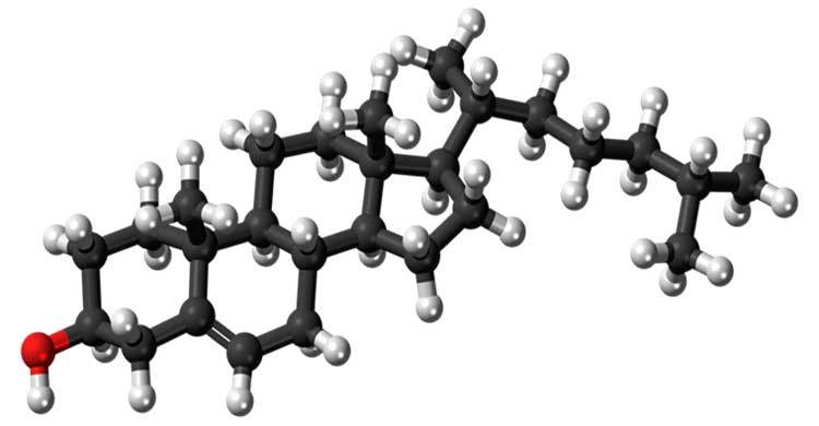 Excess ‘good cholesterol’ may shorten your life