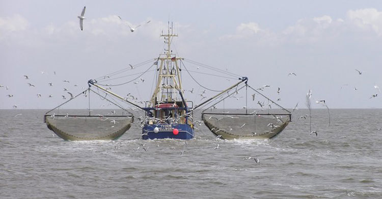 BD releases 92 Myanmar fishermen 