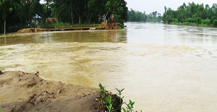 ধুনটে নিয়ন্ত্রণ বাঁধ ভেঙে বন্যার আশঙ্কা