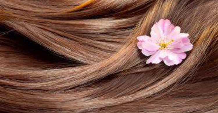 Elegant hairstyles for long hair 