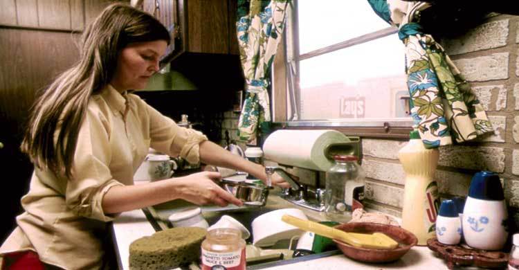 Sex, not income, determines division of chores in US houses