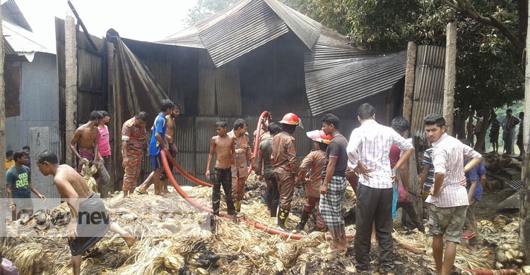 জামালপুরে ১০ হাজার মণ পাট ভস্মীভূত