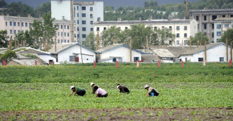 North Korean Economy Shrinks for 1st Time in 5 Years