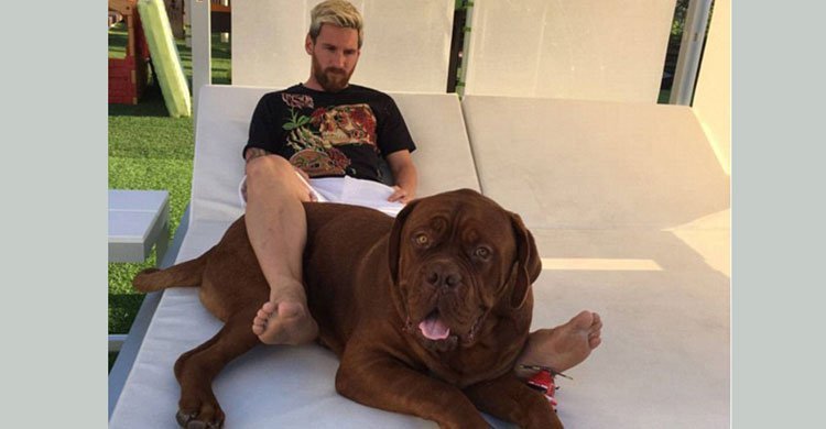 Messi shares photo with his dog 