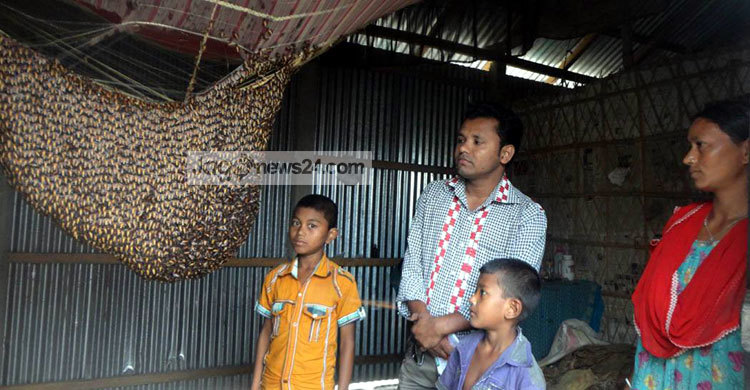 মৌমাছির সঙ্গে একঘরে বসবাস! 