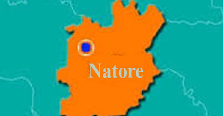 2 boys killed in Natore road crash 