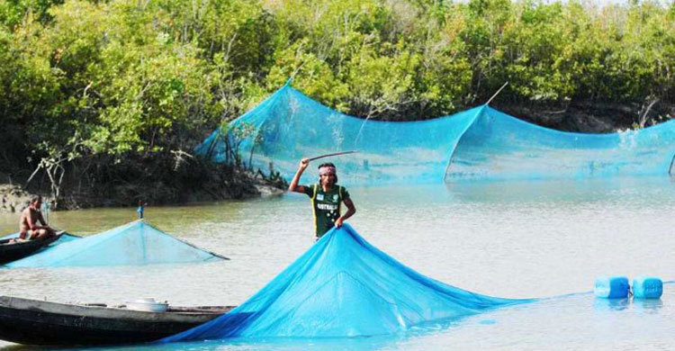 25 fishermen kidnapped by robbers in Sundarban  