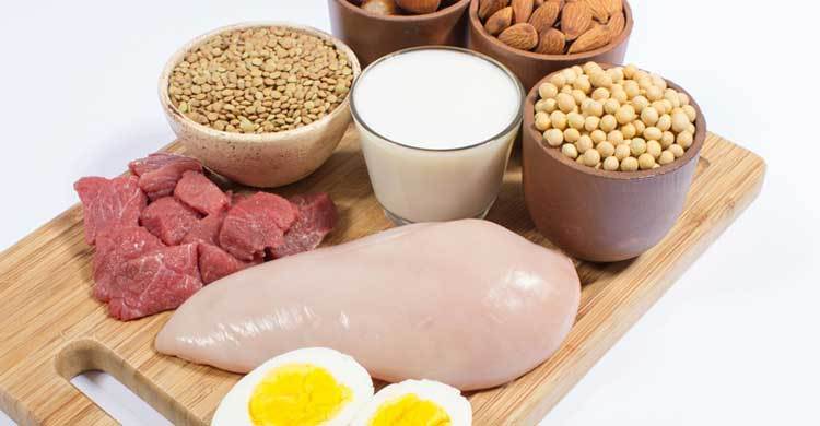 Why you should include more protein in your diet 