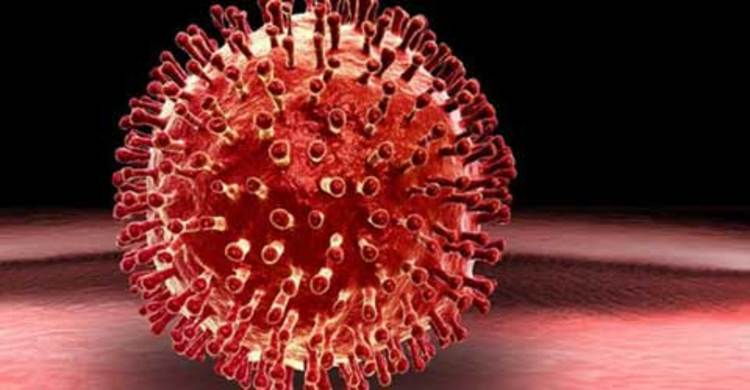 Viruses ‘more dangerous in the morning’