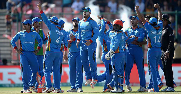 IPL: Why Afghanistan players could be great options at auction