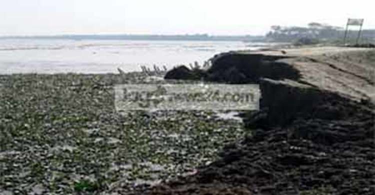 হঠাৎ দেবে গেলো বেড়িবাঁধ : এলাকায় আতংক