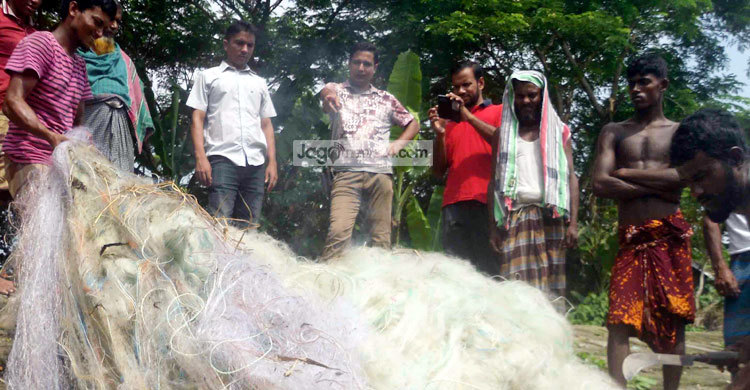 শরণখোলায় ১২ হাজার মিটার কারেন্ট জাল জব্দ