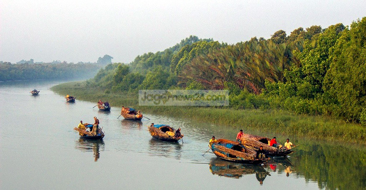 সুন্দরবনের নিষিদ্ধ এলাকায় মাছ শিকারের মহোৎসব 