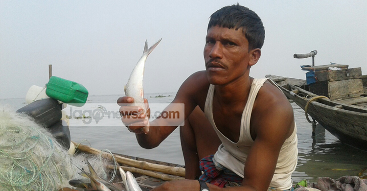 জালে ধরা পড়ছে না ইলিশ