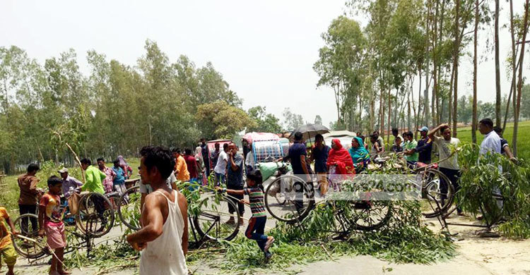 বিরলে ৪২ একর ধানখেত নষ্ট, কৃষকদের সড়ক অবরোধ