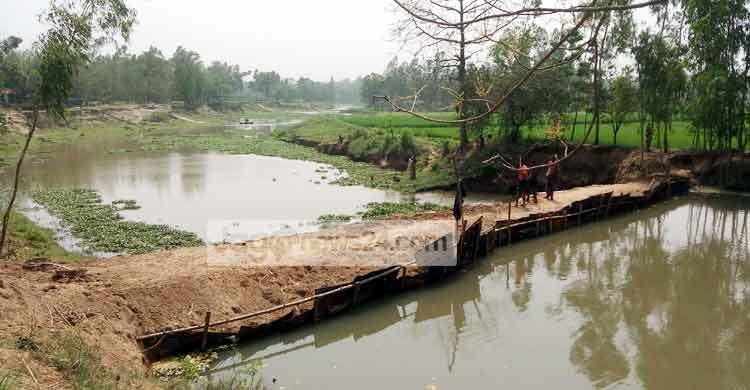 শিবগঞ্জে তলিয়ে গেছে ৫০ একর জমির ফসল