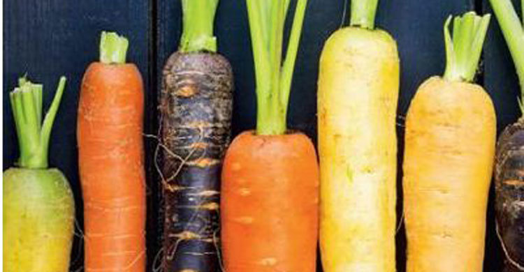 Why you must eat root vegetables daily!