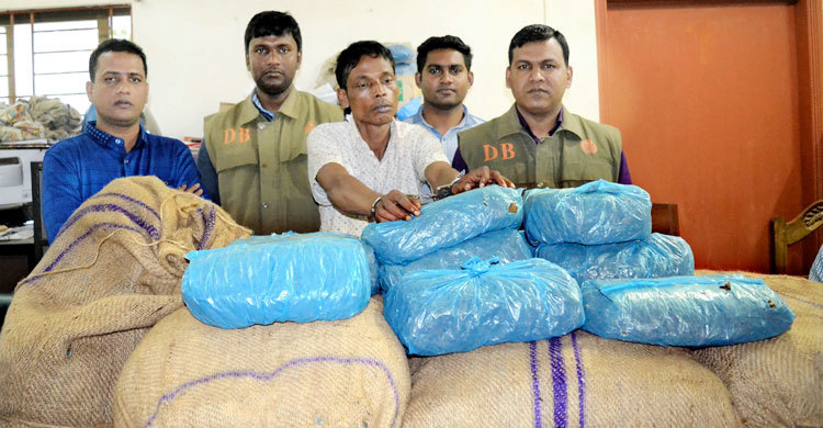 কুমিল্লায় ২০০ কেজি গাঁজাসহ আটক ১