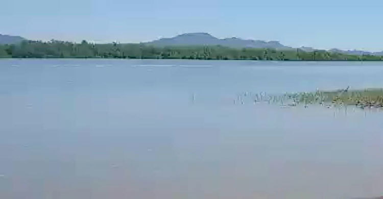 নাফ নদী থেকে নারীর মরদেহ উদ্ধার