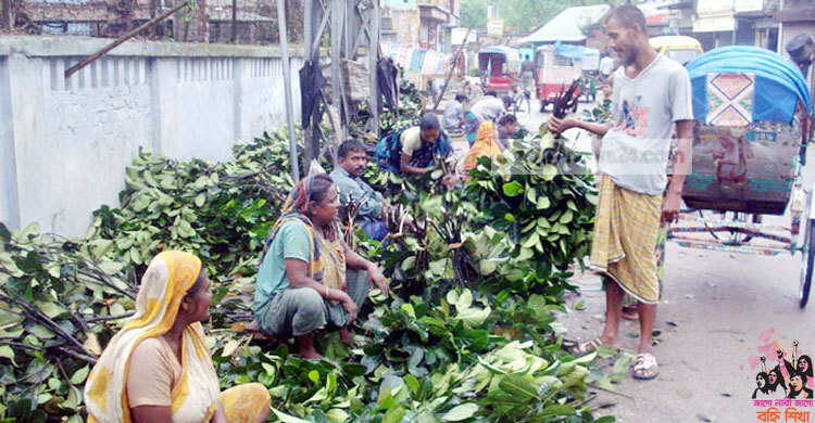 ওদের জীবনের অধ্যায় বদলে দিয়েছে কাঁঠাল পাতা