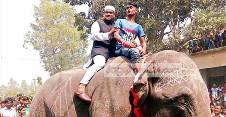 ১০ লাখ টাকায় সংবর্ধনা : হাতির পিঠে জেলা পরিষদ সদস্য