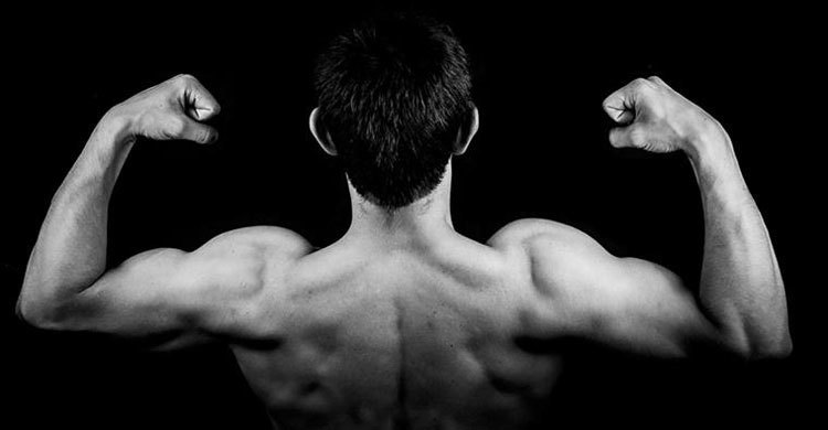 Increased level of testosterone affects behaviour in men: Study