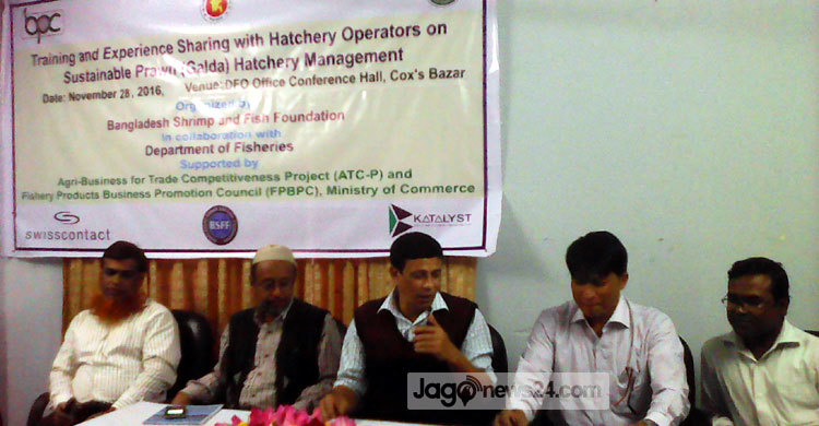 আধুনিক চিংড়ি চাষ শিল্পের মানোন্নয়ন ঘটাতে পারে