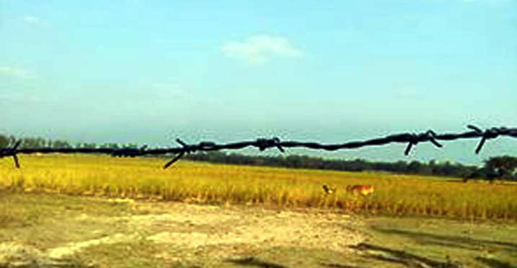 সাঁওতালদের ধান কাটার বিষয়ে সিদ্ধান্ত আজ