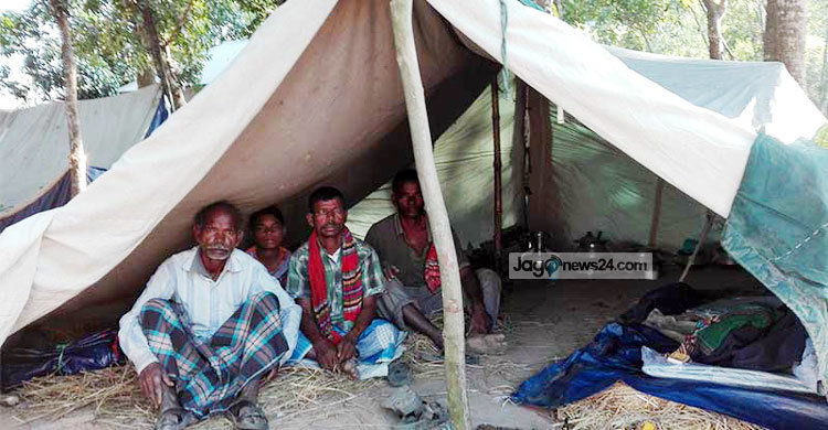 প্রচণ্ড শীতে পলিথিনে ঘেরা ঘরে কাতরাচ্ছে সাঁওতালরা