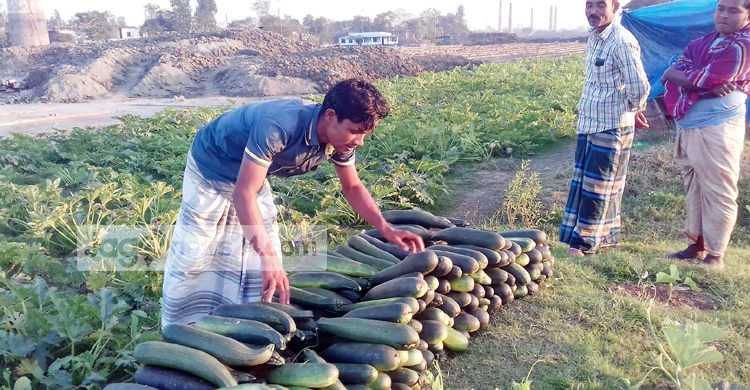 পুড়ে গেলো চাষির স্বপ্ন