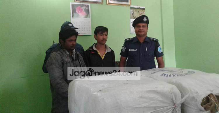 গাজীপুরে ৭৭ কেজি গাঁজাসহ আটক ২