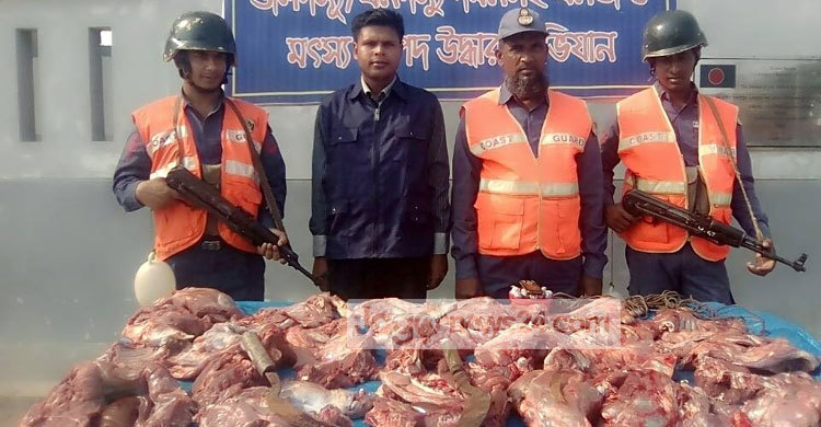 সুন্দরবনে ৫১ কেজি হরিণের মাংস জব্দ