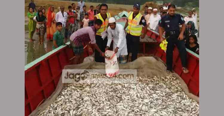 শরীয়তপুরে ৪০ মণ জাটকা জব্দ