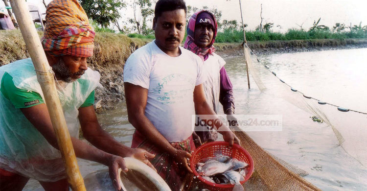 ১০ হাজারে ব্যবসা শুরু তিনি এখন কোটিপতি
