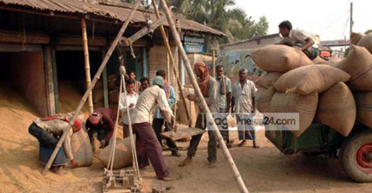 সরবরাহ বৃদ্ধির সঙ্গে পাল্লা দিয়ে কমছে ধানের দাম
