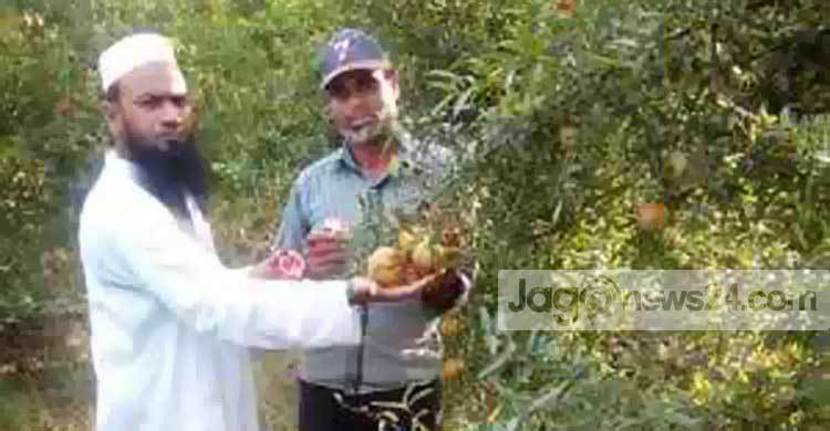 বেদানায় শাহজাহানের স্বপ্ন পূরণ