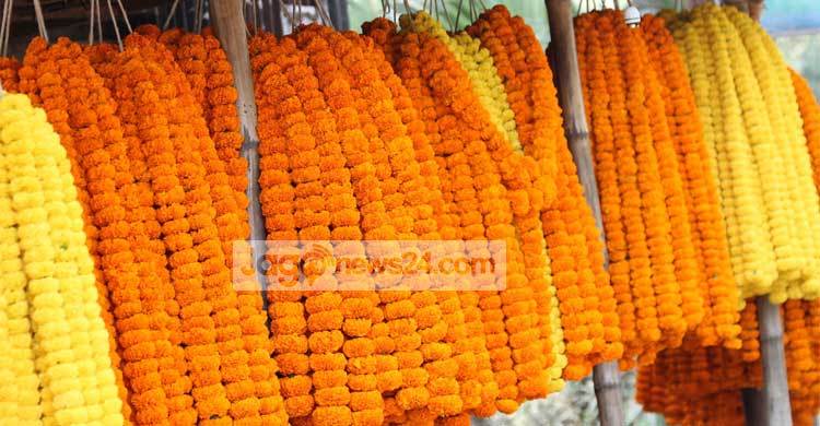 ৩ দিবসে ঝিনাইদহে ৫ কোটি টাকার ফুল বিক্রির আশা