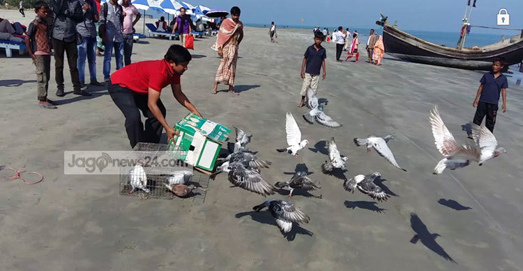 সৈকতে ‘কবুতর রেসিং’ 