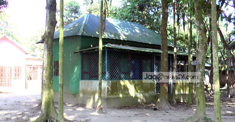 সৈয়দ নজরুলের স্মৃতি বুকে নিয়ে দাঁড়িয়ে আছে টিনশেড ঘরটি