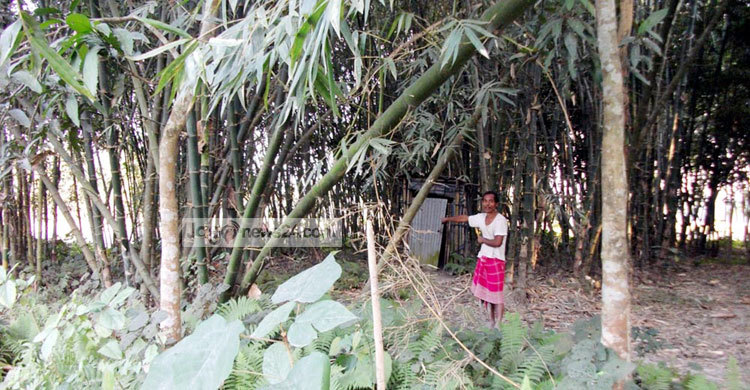 অস্তিত্বহীন প্রাথমিক বিদ্যালয়কে জাতীয়করণের সুপারিশ