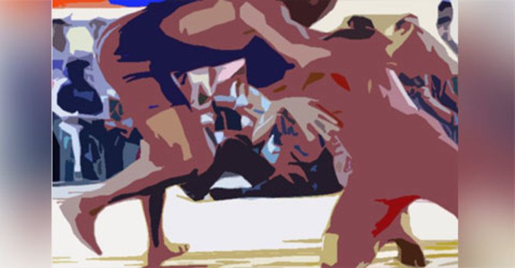 কুস্তিতে ব্রোঞ্জ পদক পেলেন পঞ্চগড়ের মেয়ে স্মৃতি আক্তার