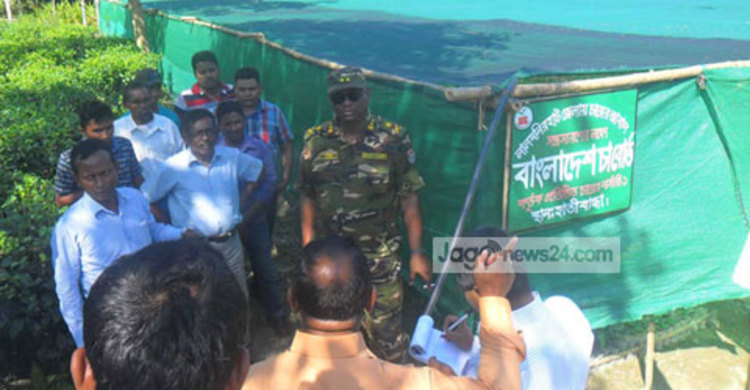 তামাক নয় চা চাষ করুন