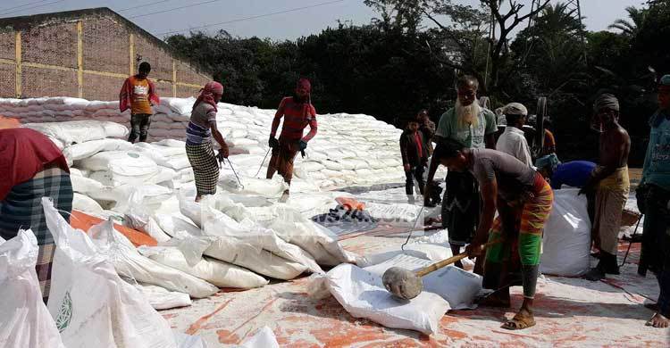 বাফার গুদামে নষ্ট হচ্ছে ১২ হাজার টন সার