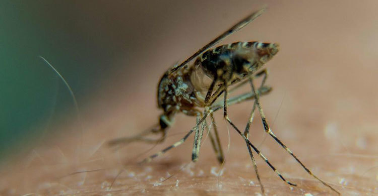 700 dead as malaria ‘epidemic’ hits Burundi