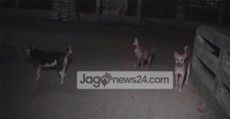 রাত নামলেই মহাবিপদ!